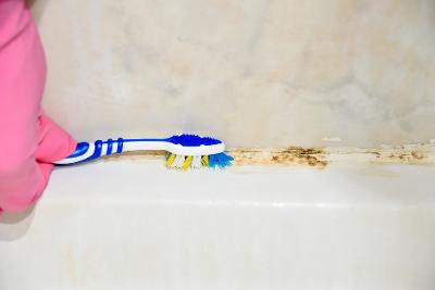 Cómo deshacerse del moho en el baño