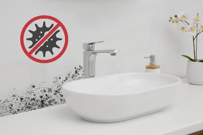 ¡Elimina el moho del baño de una vez por todas!